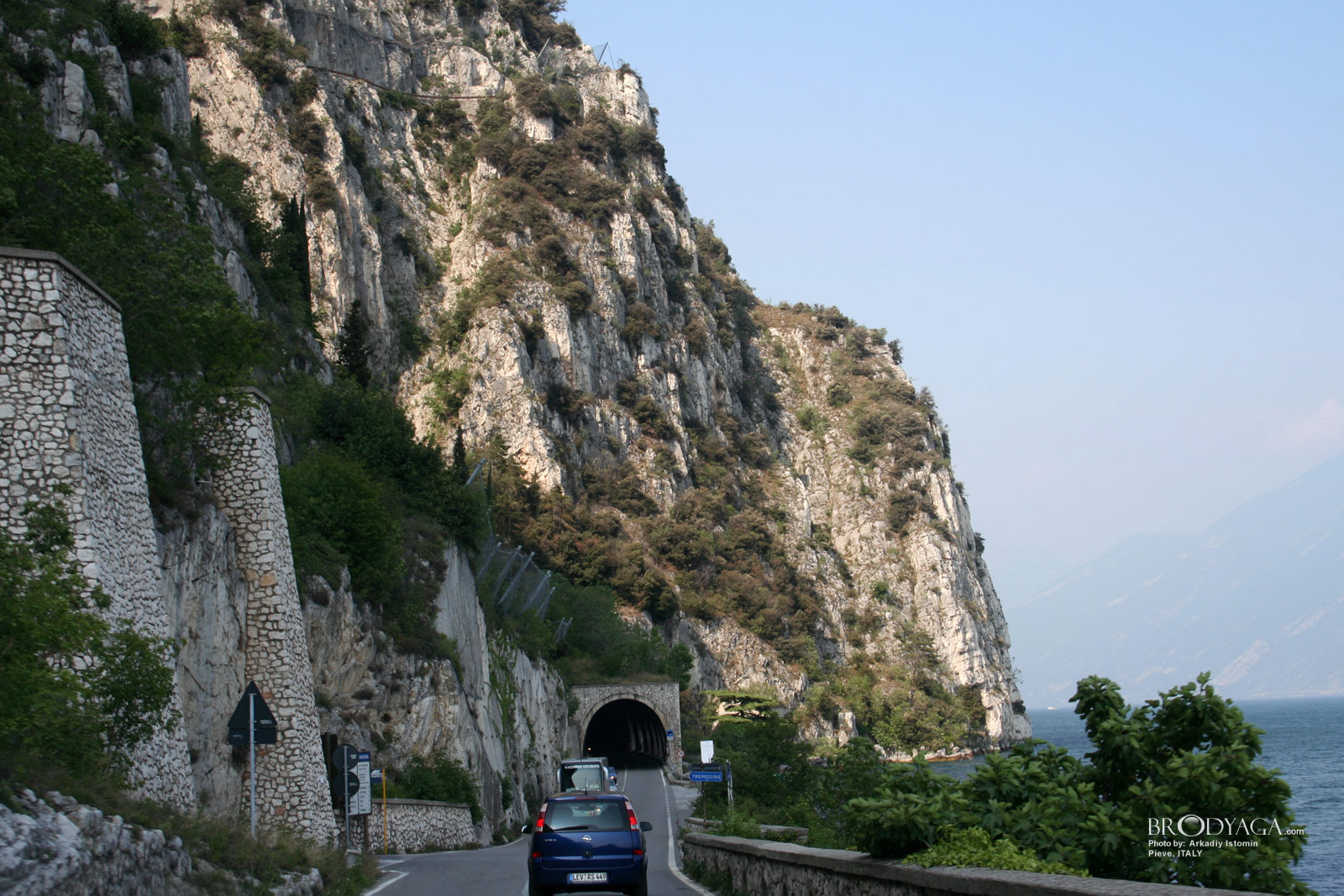 Tremosine